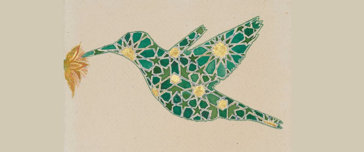 Hummingbird, 2018